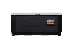 CL-PS19